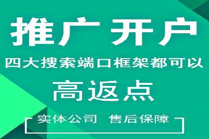 信息流广告成功案例深度剖析